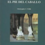 Caballo