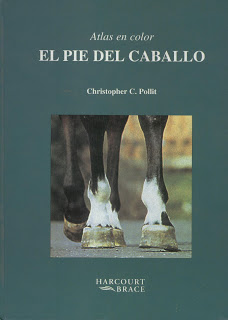 Caballo